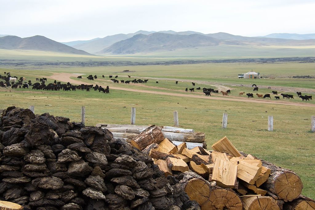 Image Découverte Désert De Gobi - Randonnée Khangaï