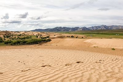 © R Scapinello / Alamy / Hemis - Désert de Bayan Gobi - Mongolie Désert de Bayan Gobi - Mongolie