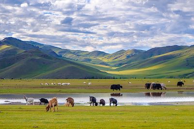 © Laurence Kurzer - Vallée de l'Orkhon - Mongolie Vallée de l'Orkhon - Mongolie
