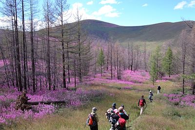 Voyage Randonnée de la vallée de l'Orkhon à l'Arkhangaï 1