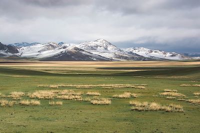 © Denis Chambon - Route de l'Orkhon à Kharkhorin - Khangai - Mongolie Route de l'Orkhon à Kharkhorin - Khangai - Mongolie