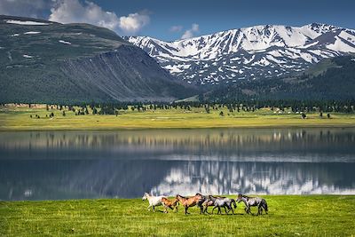 Lac Bayan-Ulgii - Mongolie