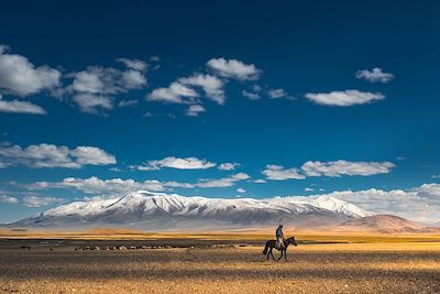 Nomade à cheval - Tsambagarav - Mongolie