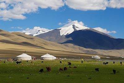 Camp Kazakh - Tsambagarav National Parc