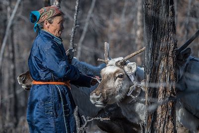 Les Tsaatan, un peuple d'éleveurs de rennes - Mongolie