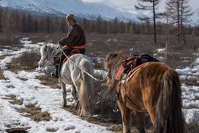 Les Tsaatan, un peuple d'éleveurs de rennes - Mongolie