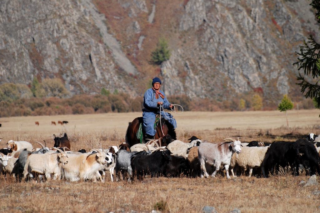 Image Randonnée Khangai - rencontres nomades - Découverte Bayan Gobi