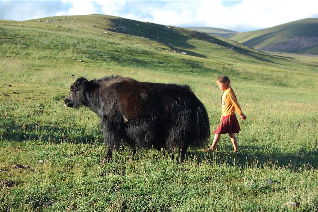 Image Randonnée Khangai - rencontres nomades - Découverte Bayan Gobi