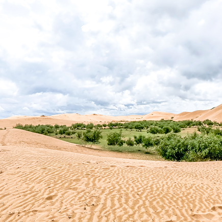 Découverte Mongolie