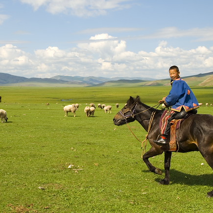 Découverte Mongolie