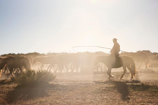 Voyage Les Monts Khangaï de yourte en yourte
