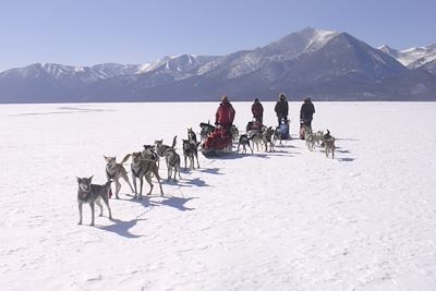 Région du lac Khövsgöl - Mongolie