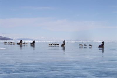Traîneau à chiens sur le lac Khuvsgul gelé - Mongolie