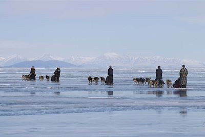 Traîneau à chiens sur le lac Khuvsgul gelé - Mongolie