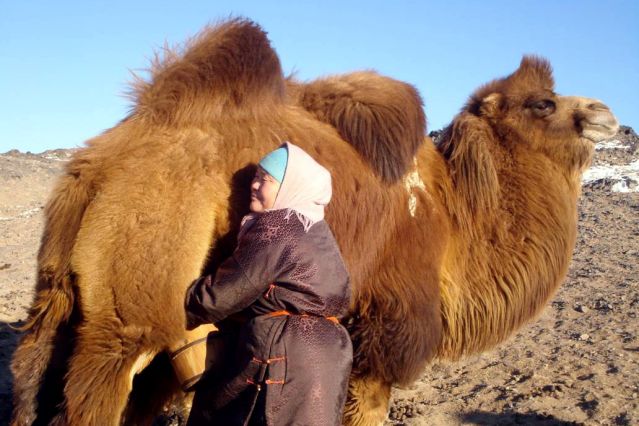 Image Du désert de Gobi aux montagnes du Khentii