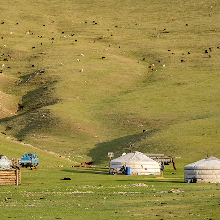VTT / Gravel Mongolie
