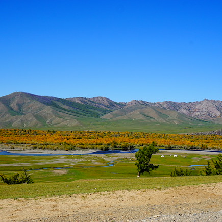 VTT / Gravel Mongolie