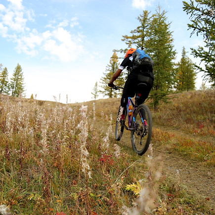 VTT / Gravel Mongolie