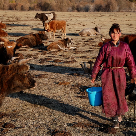 Randonnée Mongolie