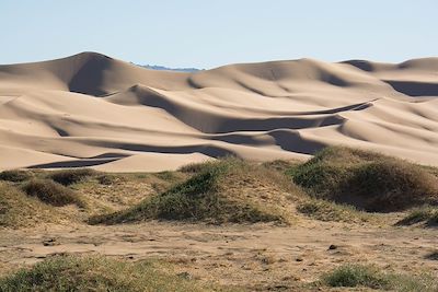 Dunes de Khongor - Désert de Gobi - Mongolie