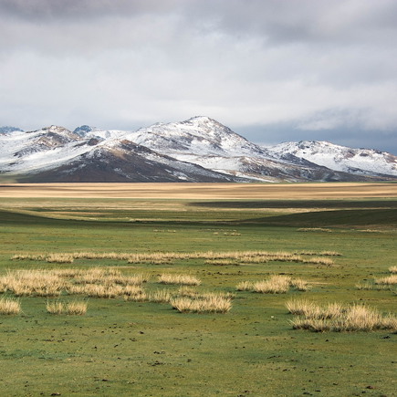 Randonnée Mongolie