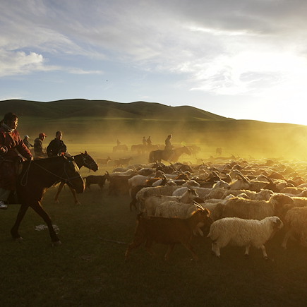Randonnée Mongolie