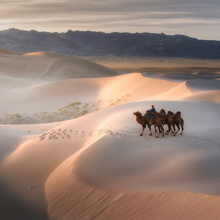 Randonnée Mongolie