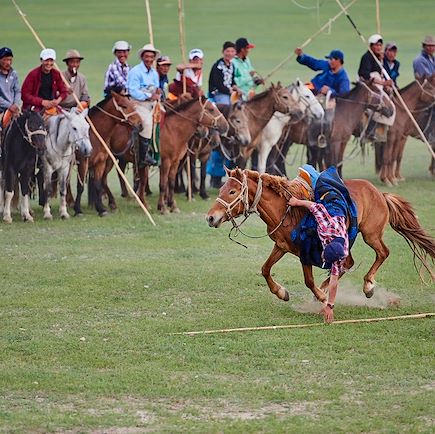 Découverte Mongolie