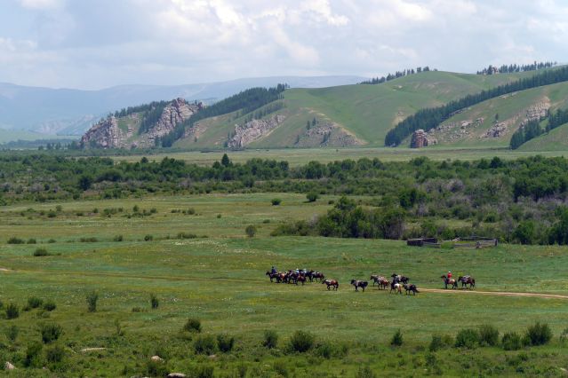Parc national de Terelj - Mongolie