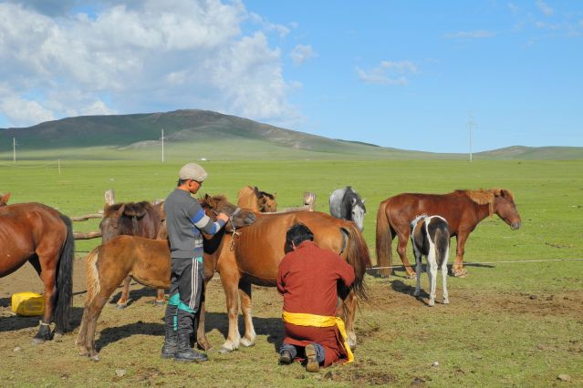 Image Grande traversée de la Mongolie