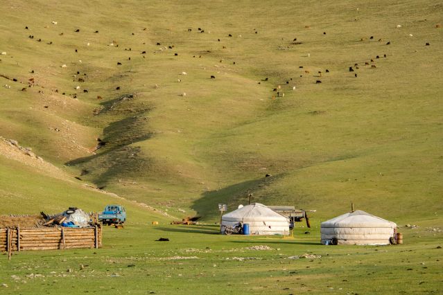 Image Les steppes mongoles en VTT