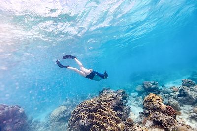 Snorkeling - Mozambique