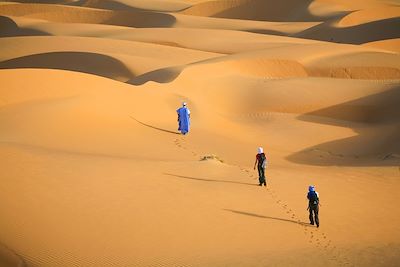 Voyage Les oasis de l'Adrar 3