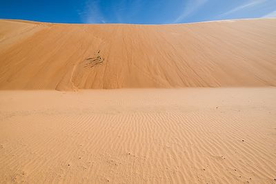 Les dunes de Timinit et Jalet el Labda - Mauritanie