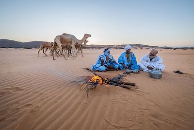 Maaden - Jouali - Mauritanie
