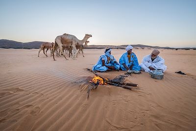 © Francois Vanniere - Maaden - Jouali - Mauritanie Maaden - Jouali - Mauritanie