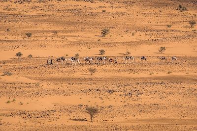 © Francois Vanniere - Maaden - Jouali - Mauritanie Maaden - Jouali - Mauritanie