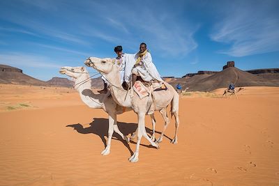 © Francois Vanniere - Oued El Tenzzent - Mauritanie Oued El Tenzzent - Mauritanie