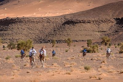 © Francois Vanniere - Oued El Tenzzent - Mauritanie Oued El Tenzzent - Mauritanie