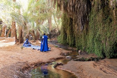 © Florent Bochet - Palmeraie de Terjit - Les oasis de l'Adrar - Mauritanie Palmeraie de Terjit - Les oasis de l'Adrar - Mauritanie
