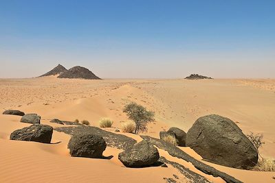 Région de Ben Amira - Le train du désert - Mauritanie