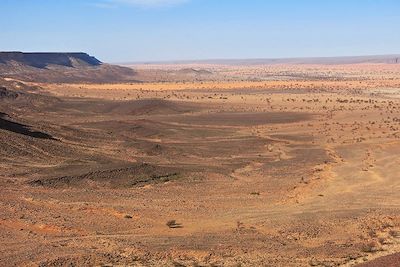 Vallée de Teyaret - Le train du désert - Mauritanie