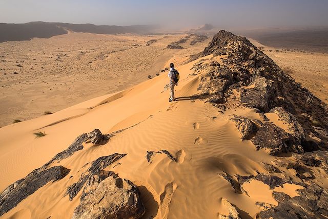 Voyage Du Tagant à l'Adrar