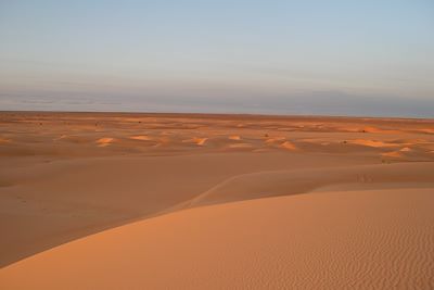 Voyage Voyage astronomie en Mauritanie avec Benoît Reeves 1