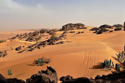 Chaîne de Zarga - Mauritanie