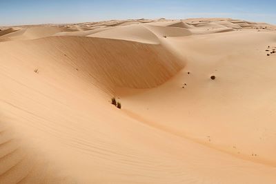 Dunes entre le bivouac Ain El Houmar et l'erg Ouarane - Mauritanie