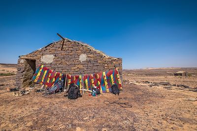 Voyage Du Tagant à l'Adrar 1