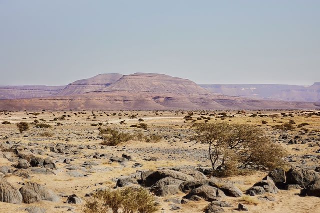 Voyage : Les oasis de l'Adrar Voyage Les oasis de l'Adrar