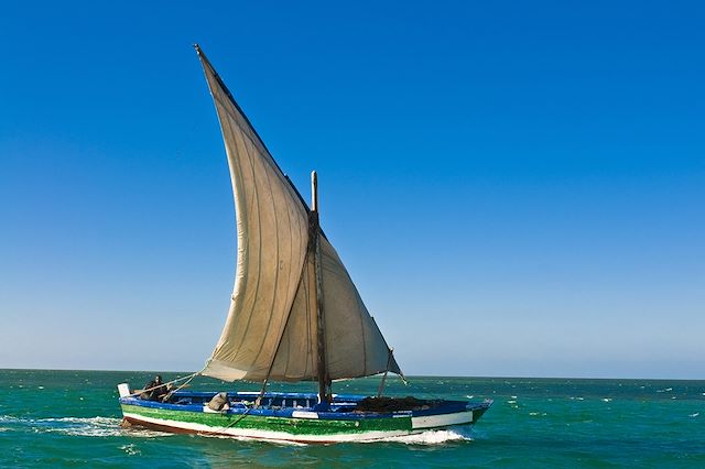 Bord de mer et îles : Entre terre et mer, découverte du Banc d'Arguin Voyage Entre terre et mer, découverte du Banc d'Arguin