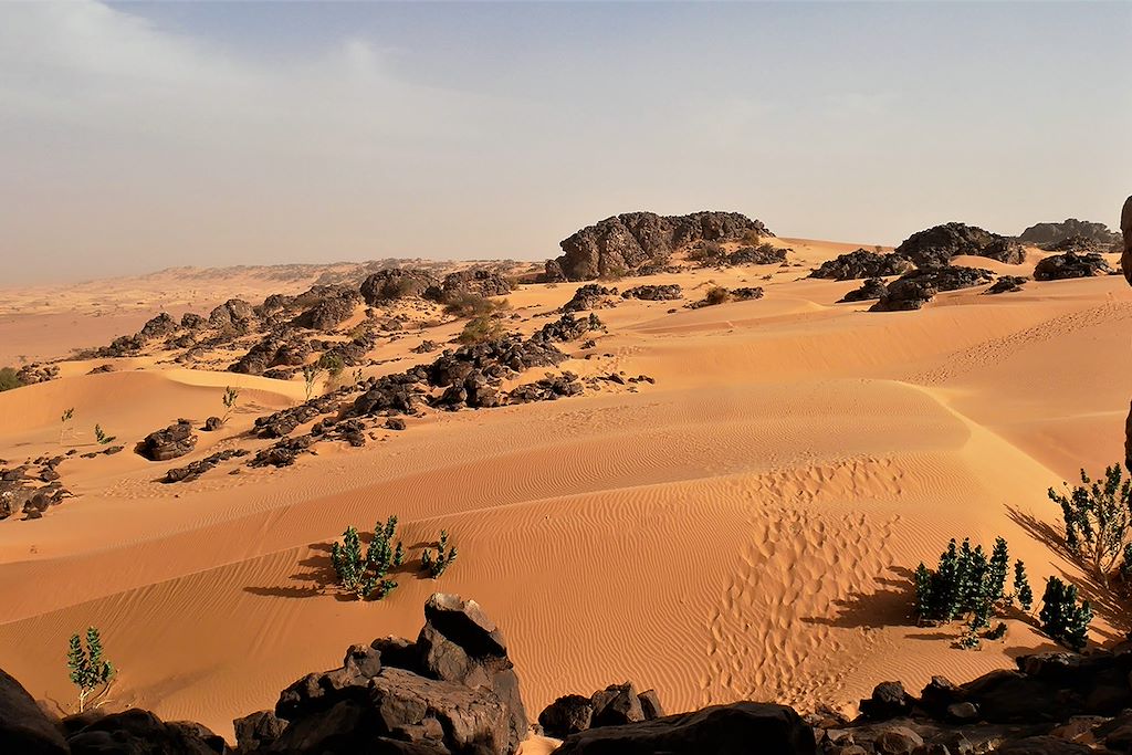 Image Voyage Astronomie - Adrar